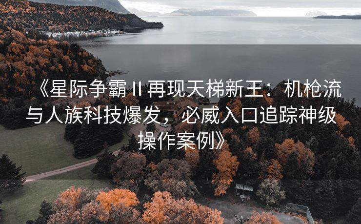 《星际争霸Ⅱ再现天梯新王：机枪流与人族科技爆发，必威入口追踪神级操作案例》  第1张