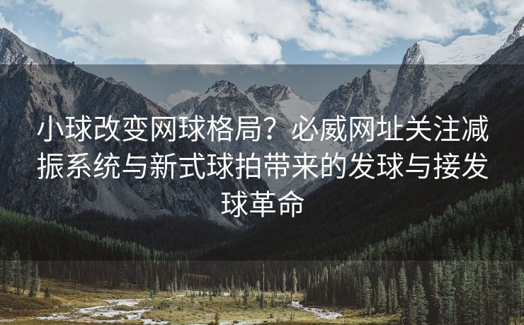 小球改变网球格局？必威网址关注减振系统与新式球拍带来的发球与接发球革命  第2张