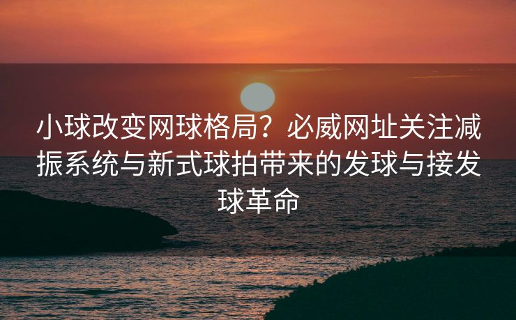 小球改变网球格局？必威网址关注减振系统与新式球拍带来的发球与接发球革命  第1张