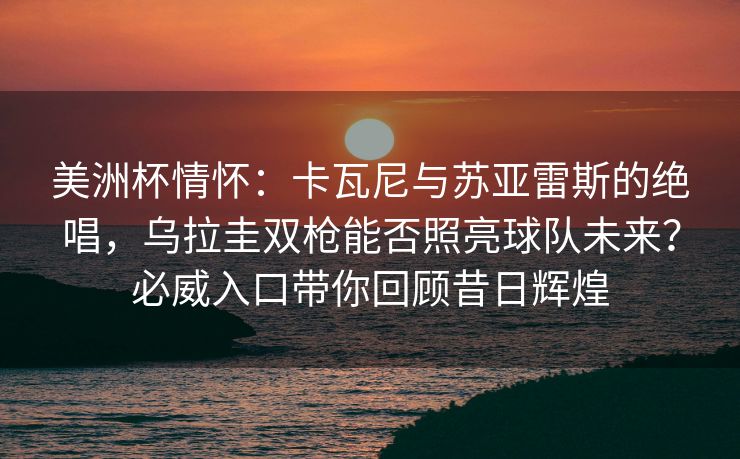 美洲杯情怀：卡瓦尼与苏亚雷斯的绝唱，乌拉圭双枪能否照亮球队未来？必威入口带你回顾昔日辉煌  第2张